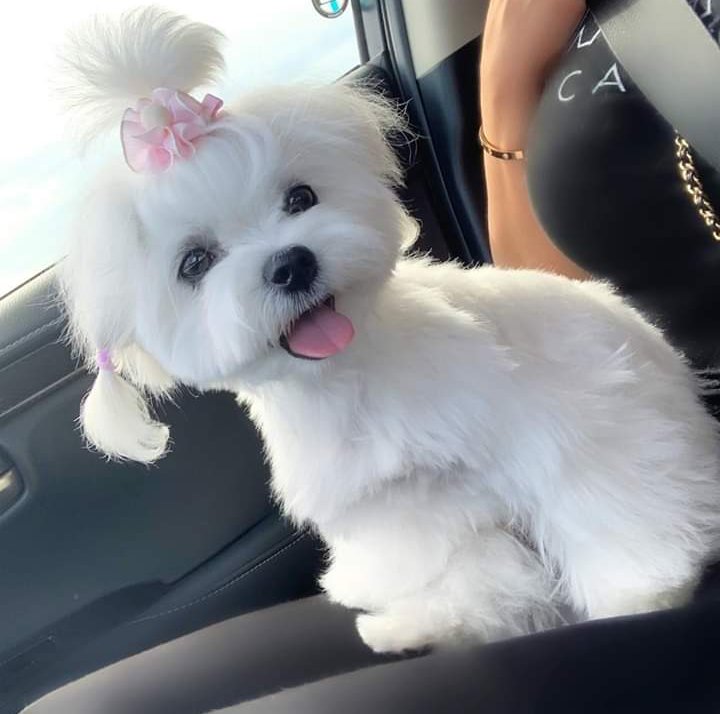 James Richard (@jamesri07978255) on Twitter photo 