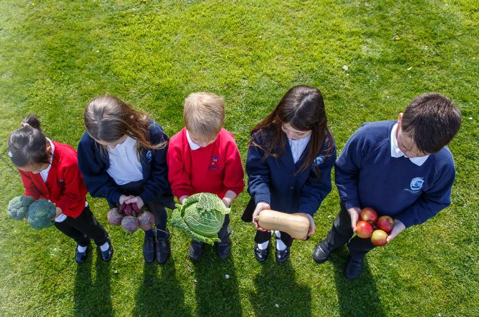 The Government is yet to confirm the return of the School Fruit and Vegetable scheme in September. Child nutrition and health is crucial, now more than ever. Tell us your thoughts about the halt - we will use your feedback to inform our policy actions. surveymonkey.co.uk/r/7ZNPXM9