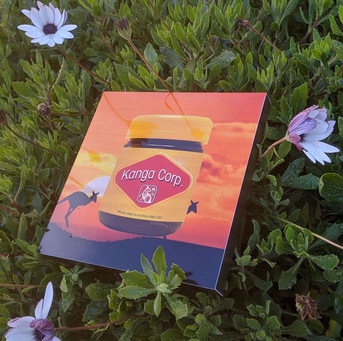Kanga_Corp's tweet photo. Since we hit the big 150 followers &amp; thank you we're doing a giveaway! - A photoBlock signed by us &amp; a test tape of Deadmac's "The City".
Just make sure you're following us &amp; retweet this to be in the running!
Draw will be done in 2 weeks (12th July) Good luck! 🦘 https://t.co/mJU2JUShjj