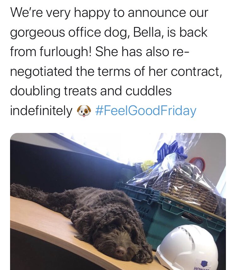 hxrrop's tweet photo. Me: social media management is a demanding job and should be taken seriously 

Also me: https://t.co/qweprmheeL