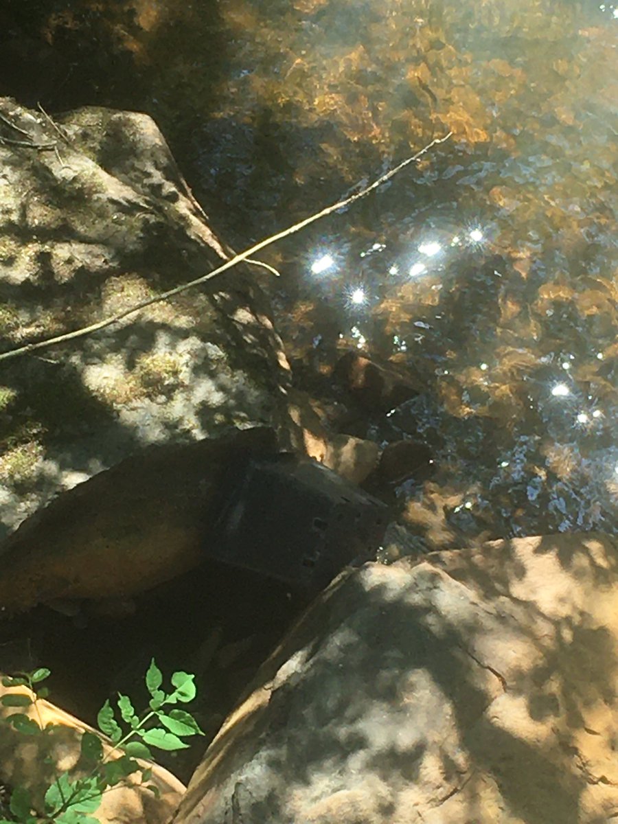 candicefiler's tweet photo. @CedarLibanus Not too exciting, but Tom has taken some pics of sources of pollution in the river. Including plastic, metal sign, contamination for a leak from a nearby old iron/tin mine, and poo from ducks on the river. Sorry we discussed the sources but he didn’t write them down. https://t.co/f614NKAvv5