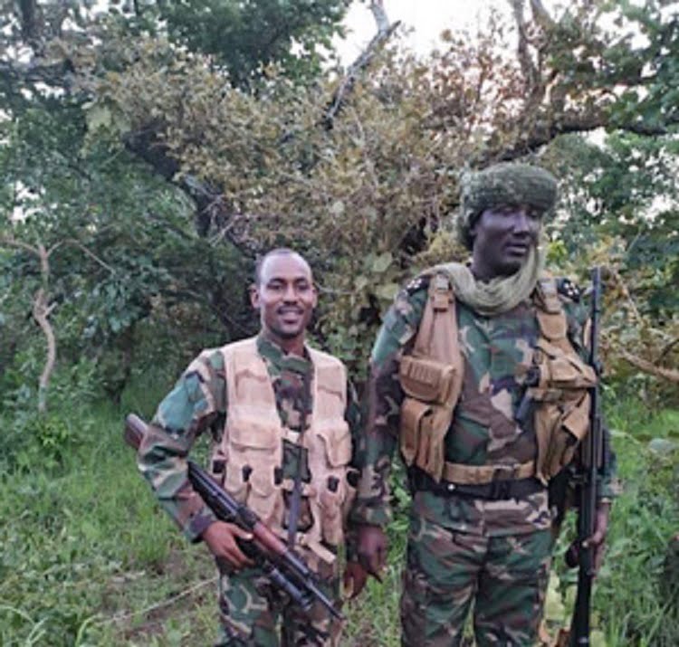 Corbeau News Centrafrique tweet media