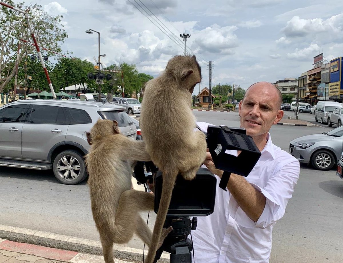 flo18flo's tweet photo. That piece-to-camera for @dwnews went really well...until the monkeys took over the controls. 🙈 #Thailand #Lopburi #monkeybusiness https://t.co/9WbF85RUoM