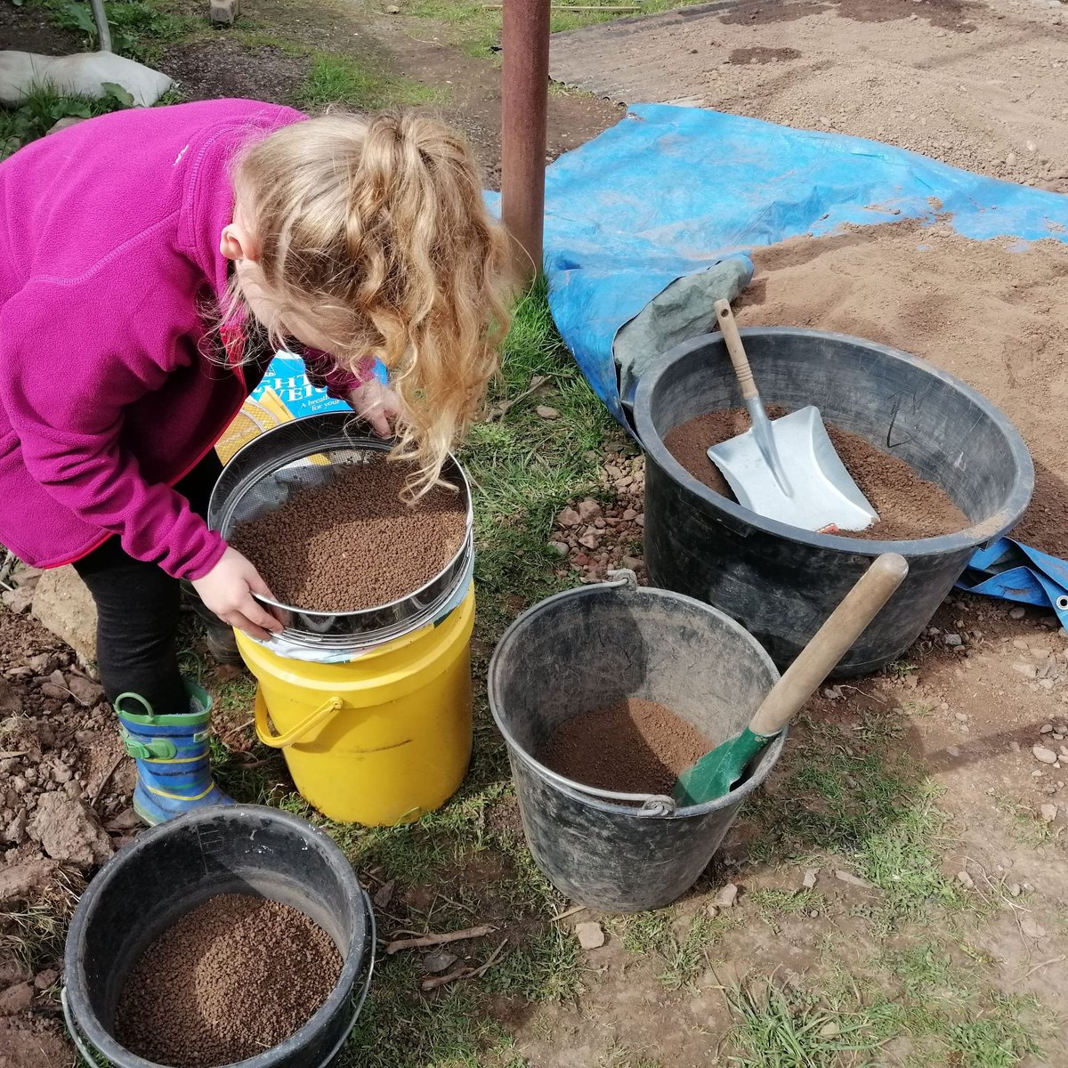 More help sieving. We're sorting this beautiful red-brown clay subsoil according to aggregate size.⁠
#clayfloor #clayplaster #naturalbuilding #traditionalbuilding #Strathearn #Crieff #Scotland #sieve #claysoil