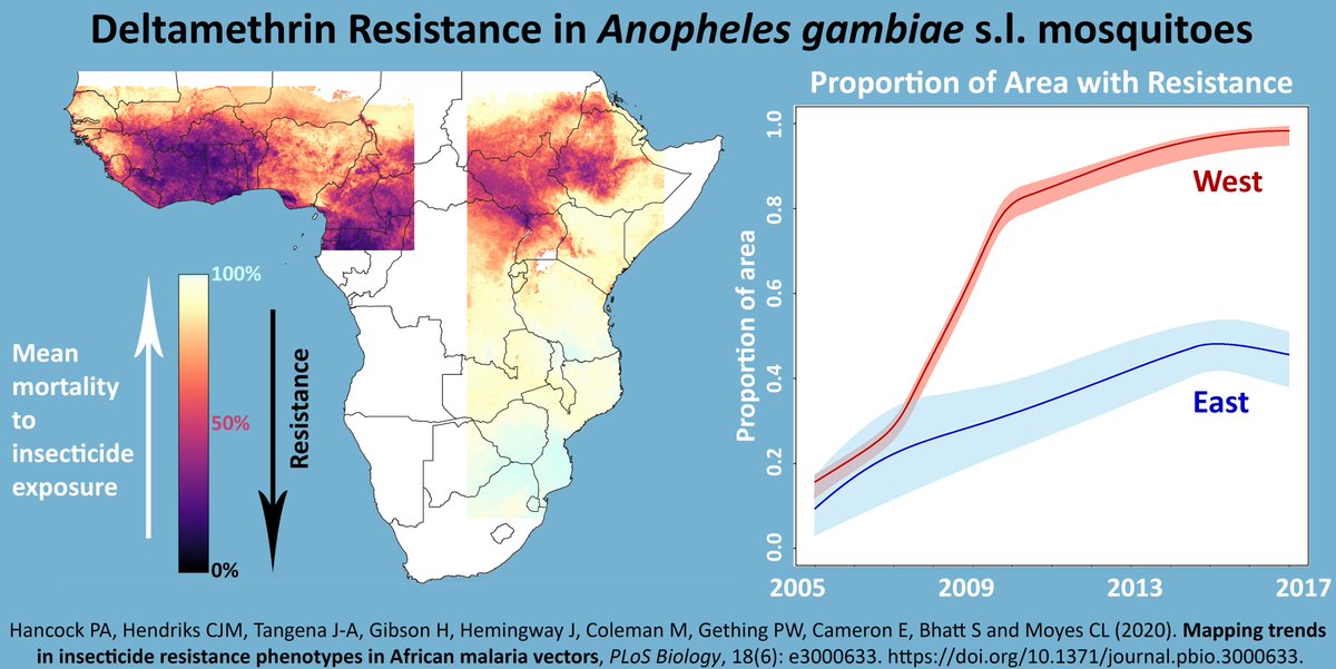 GMIV (Geospatial Modelling of Insect Vectors) tweet media