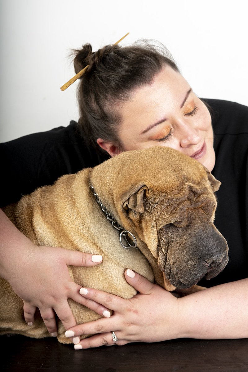 Mimiblogmode's tweet photo. Nouvel article sur le blog, qui me tient à coeur, aux tripes... https://t.co/AnH66x1I1Y vous venez témoigner? #stopalabbandon #animaux #sharpei #moodpost https://t.co/x5RrGbNHn6