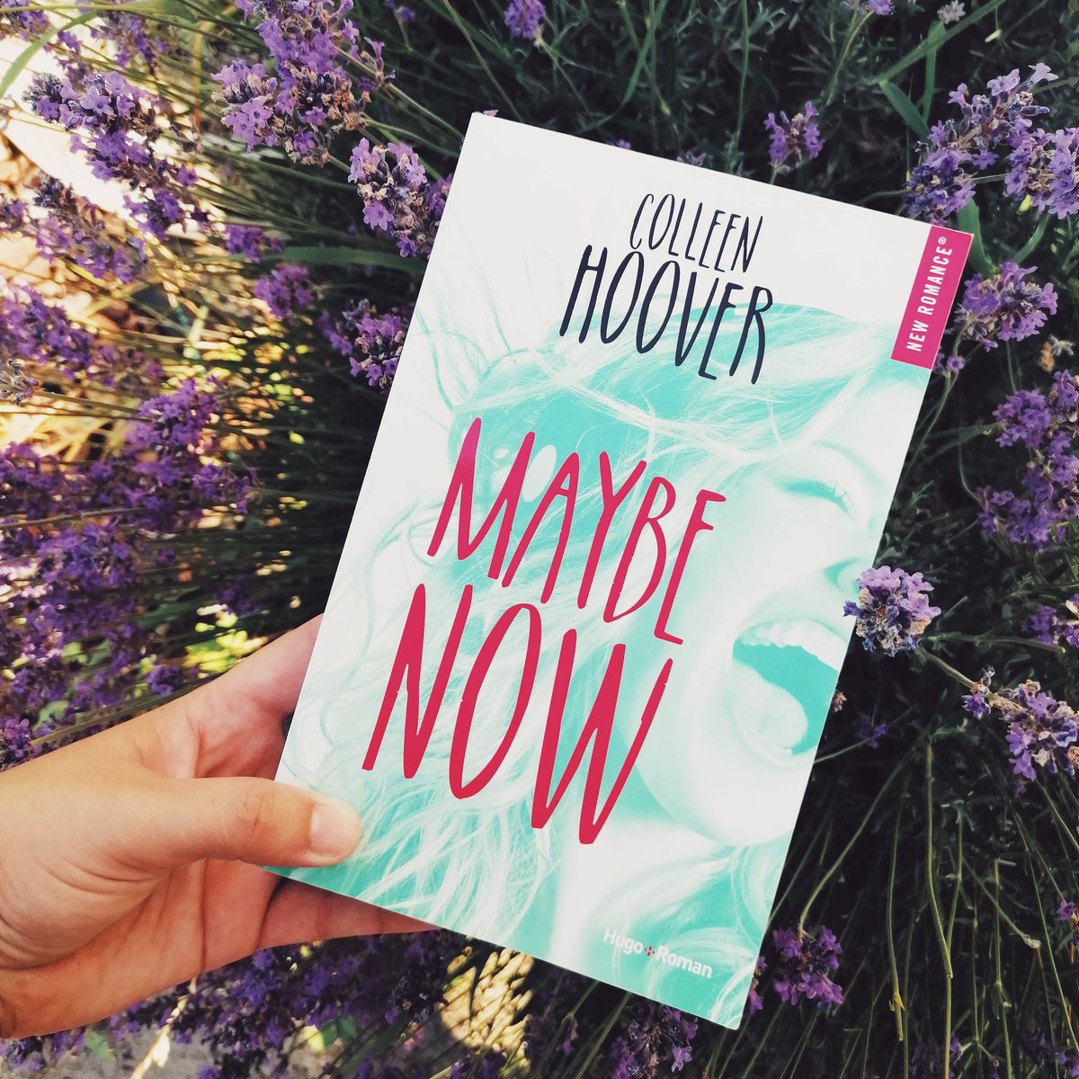 Kimysmile1's tweet photo. Mon avis sur #MaybeNow de @colleenhoover est en ligne sur le blog!
Spoiler Alert : J'ai adorรฉ! ๐
https://t.co/dB1dLfeYiu https://t.co/t0ApeMSPS4