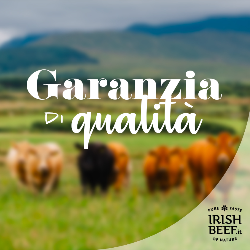 L’eccellenza della carne irlandese si fonda su alcuni dei più alti standard di qualità al mondo, ovvero la tracciabilità.