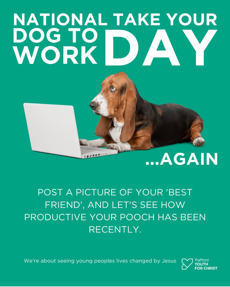 Tyfcteam's tweet image. TAKE YOUR DOG🐕 TO WORK DAY...again⁠😔
After weeks of being stuck with the dog let's celebrate where we can bring them into our world.⁠ Share a pic📸 of your 'best friend' showing how productive they are.⁠
#poochpicture #takeyourdogtoworkday #shareapic #mansbestfriend