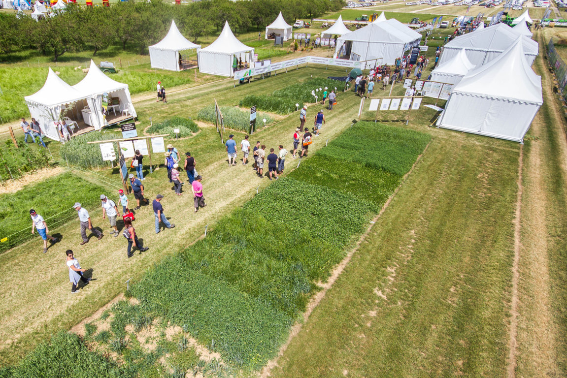 [WEBINAR] 
Le Salon de l'herbe 2020 a été annulé, mais tout était prêt pour vous accueillir, notamment les conférences de l'Espace Conseils, que nous vous proposons, aujourd'hui en visio-conférences. 💻

Pour assister à ce webinar cliquez ici 👉 bit.ly/webinarSH1