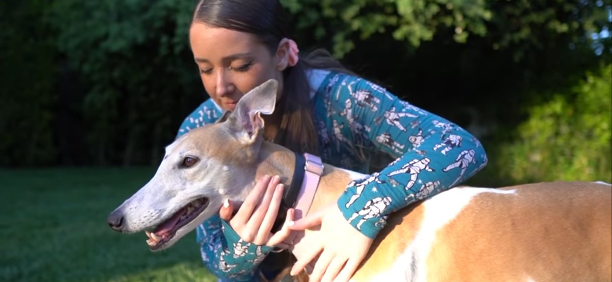tonidshipper's tweet photo. I've been watching Jenna Marbles for 7 years. Hearing her say that she's quitting Youtube is so painful. But I also understand her decision and will support her as well as the cause of why she's doing it. I'll miss you, mom. Please take care.

Let's stay strong dink fam. https://t.co/dxfjJnFeGT