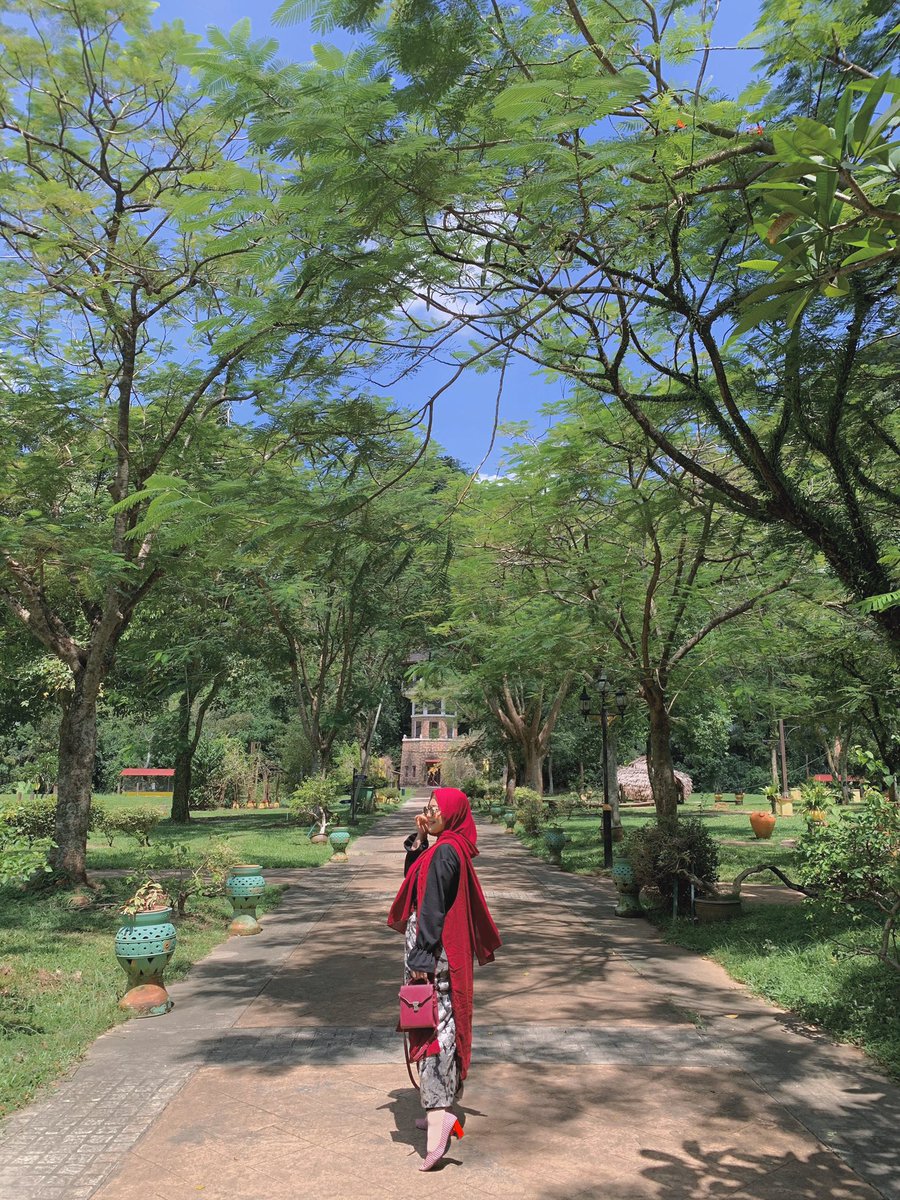  Terdapat banyak pohon yang redup untuk kita berkelah bersama keluarga Rumah Tradisional yang cantik