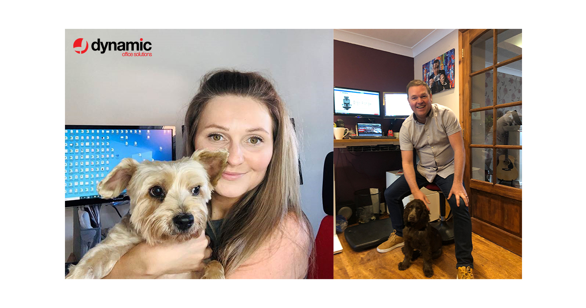 dynamicseating's tweet photo. Since working from home every day has been bring your dog to work day for our Assistant Sales Manager Gillian and Director of Sales Neil.
#DynamicOfficeSolutions #BringYourDogToWorkDay #WorkFromHome https://t.co/VsIymjY3al