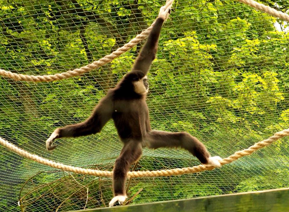 Camperdown Wildlife tweet media