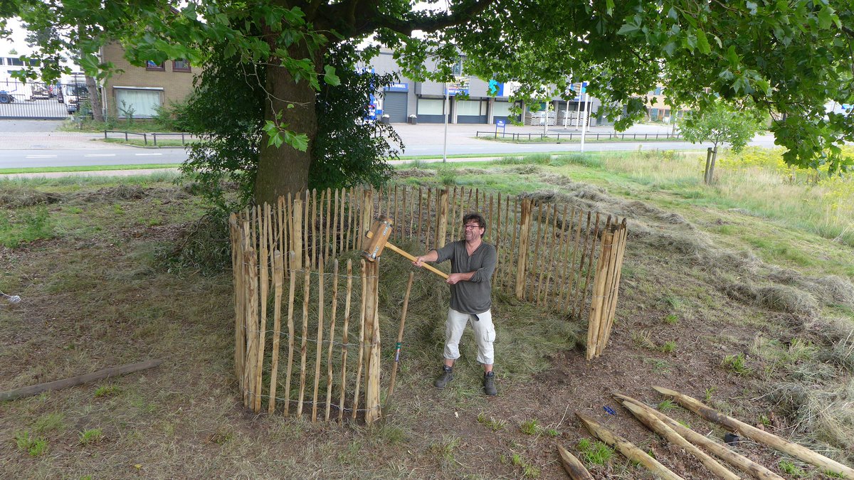 HOOIHULP GEVRAAGD - komend weekend gaan we al het maaisel verzamelen, kom je meehelpen? Zaterdag 27e van 9.30-13.30u en zondag 28e van 11.00-15.00u. Meer info op facebook.com/033GROEN/photo…