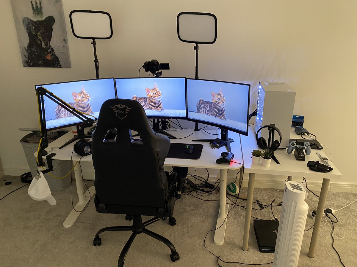 Ryan Haber tweet media