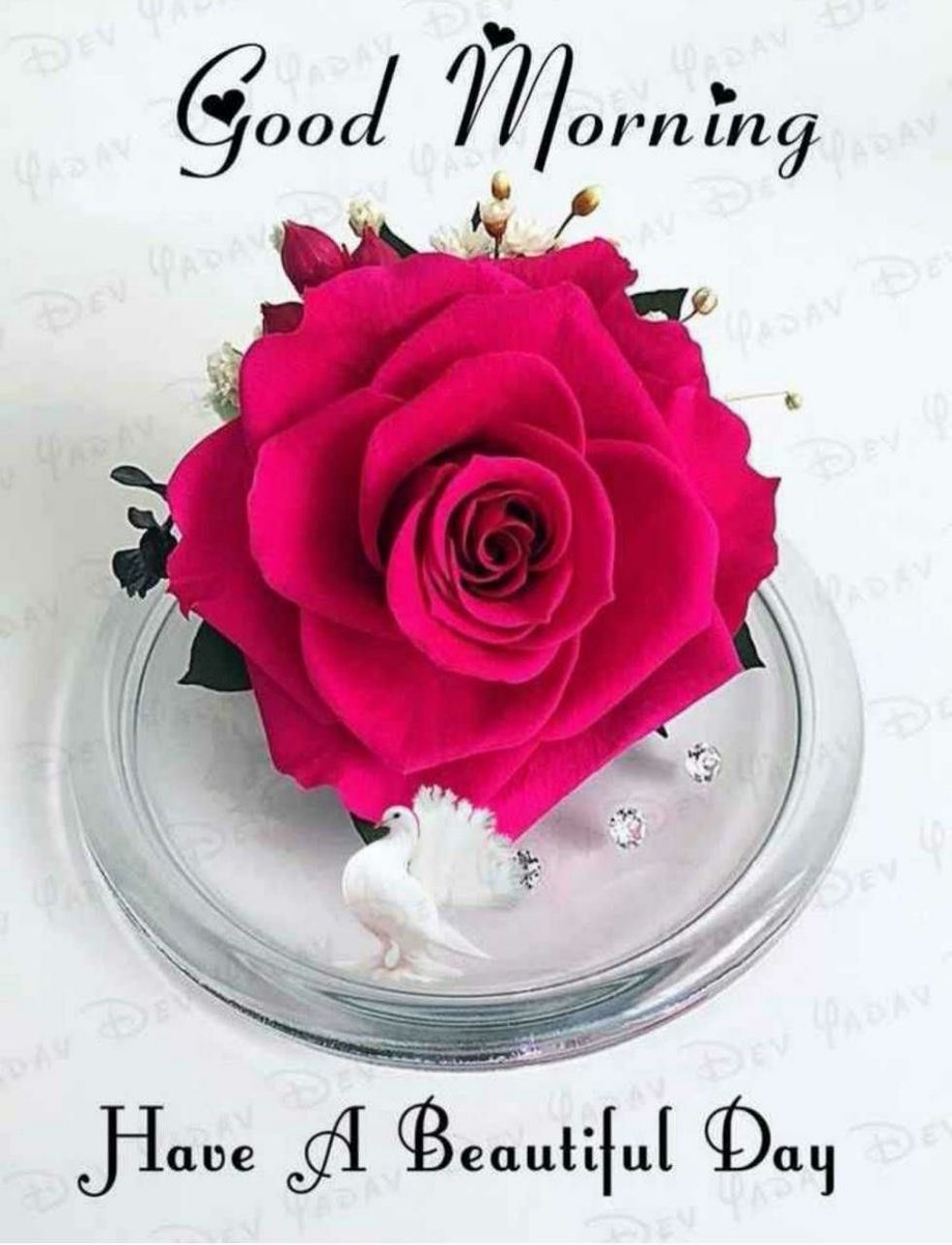 May this day be one of everything you need for your highest good #divinefeminine #AskBelieveReceive #UNIVERSE #blessed #gratitude #Harmony #FridayThoughts #HigherSelf #GoodMorningTwitterWorld #HaveAGreatDay #meditation #raiseyourvibration #SPIRITUAL #RisingWithIntegrity 🌟🌟🌟