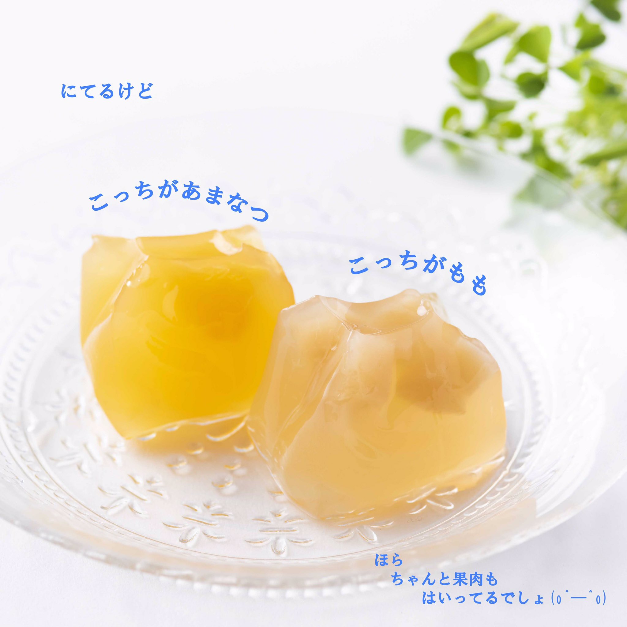 しらゆきさんby土井製菓 暑い ですね あまなつゼリーに続いて あまなつと桃 詰め合わせゼリー 発売開始 包みも キレイなんだけど 中身をアップで 冷やすとたまらなくウマイのです 富士の白雪カスタード アレンジレシピ お菓子作り 土井