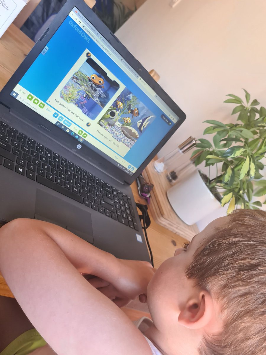LaverackNikki's tweet photo. Leo worked really hard yesterday ordering his numbers, finding half of numbers, and objects, as well as reading! Little star 🌟 @MWISClass3 @MWInfantSchool https://t.co/44ToTkxO2I