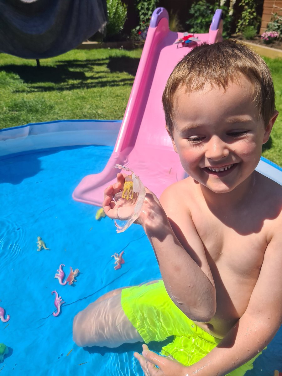 LaverackNikki's tweet photo. We had fun in the pool too... some dinosaurs were frozen in ice and we had to get them out. The sun helped... alot 🥰 #keepingcool @MWISClass3 @MWInfantSchool https://t.co/SmvBDDkUe0