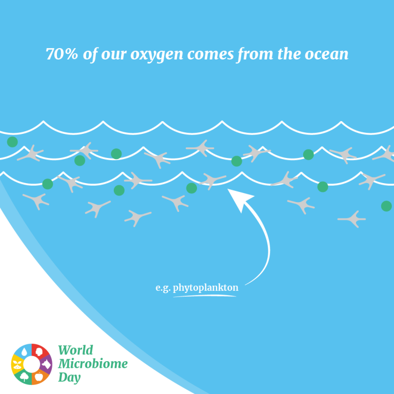 SIMBAproject_EU's tweet photo. The #marine #microbiome is at the heart of the ocean &amp;  Earth’s ecosystems. It produces most of the O2 we breathe, removes CO2 from the atmosphere &amp; forms the basis of marine food webs but there is so much we don't understand about it: https://t.co/DWAbBjf1ki 
#WorldMicrobiomeDay https://t.co/b3JwvBIg2U