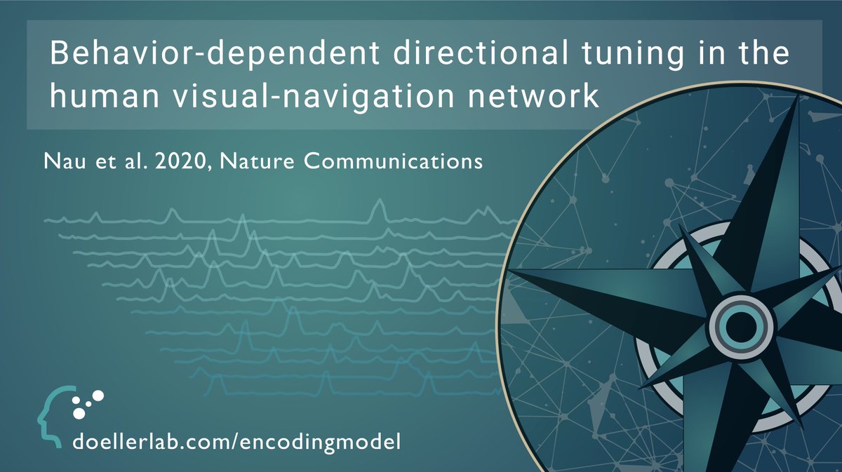 New paper led by <a href="/NauMatt/">Matthias Nau</a> out <a href="/NatureComms/">Nature Communications</a>!
We show that directional tuning in human scene- &amp; navigation regions reflects spatial #memory.

Paper &amp; behavioral #encodingmodel code are #openaccess. nature.com/articles/s4146…
<a href="/T_N_Schroeder/">T Navarro Schröder</a> <a href="/CYHSM/">Markus Frey</a> <a href="/KISNeuro/">Kavli Neuroscience</a> <a href="/MPI_CBS/">MPI für Kognitions- & Neurowissenschaften</a>