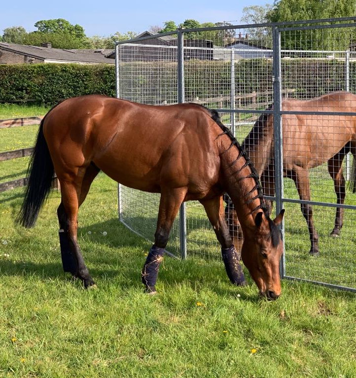Hurworth Bloodstock (@hurworthbstock) on Twitter photo **COMPETITION**
We are giving away 1 Hurworth Bloodstock cap & jacket if 2019 Tatts HIT Sale purchase SONGKRAN wins today for George Boughey (3.45pm Newmarket).
For your chance to win, simply:
1) RETWEET & LIKE this post.
2) FOLLOW <a href="/gbougheyracing/">George Boughey Racing</a>
3) Cheer SONGKRAN home ! **COMPETITION**
We are giving away 1 Hurworth Bloodstock cap & jacket if 2019 Tatts HIT Sale purchase SONGKRAN wins today for George Boughey (3.45pm Newmarket).
For your chance to win, simply:
1) RETWEET & LIKE this post.
2) FOLLOW <a href="/gbougheyracing/">George Boughey Racing</a>
3) Cheer SONGKRAN home !
