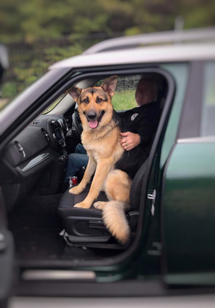 mydogfield's tweet photo. Waiting to go on the field when you think youβre a hooman π€£πΆβ€οΈ
.
.
.
#mydogfield #mydog #dog #dogwalk #dogwalks #dogadventures #dogwalking #dogwalkingservices #dogwalkingbusiness #doglife #field #views #saddleworth #pennines #securefields #germanshepherd #dogsofinstagram https://t.co/gZFZ6EVkVT