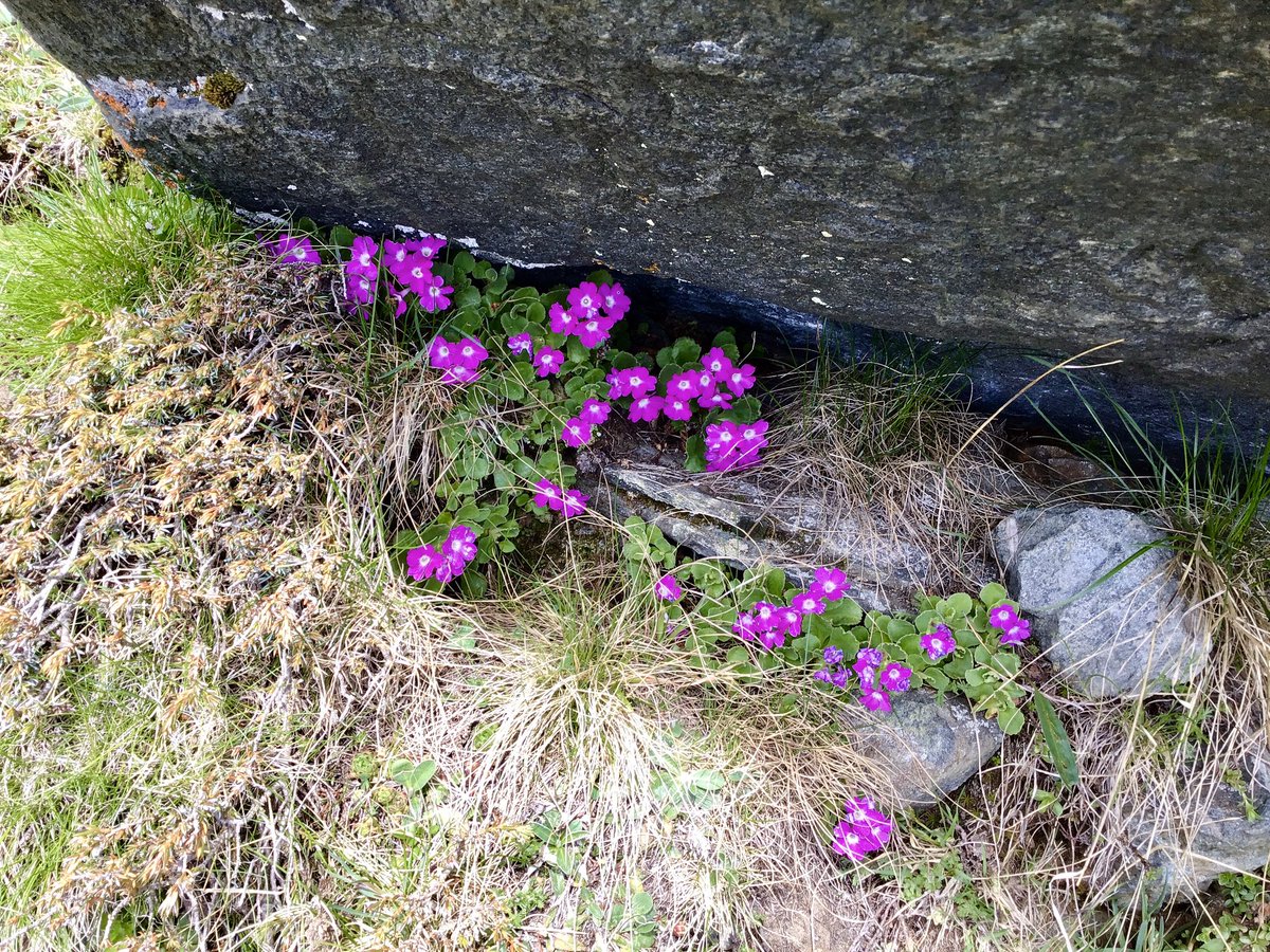 Was würde möglich, wenn die Generationen zwischen 30 und 60 ähnlich politisch bewegt würden wie die Jüngeren und wir die verschiedenen Bewegungen der Zeit zusammen bringen? #Klimagerechtigkeit #Generationen