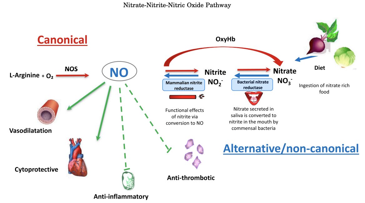 Christopher Primus tweet media