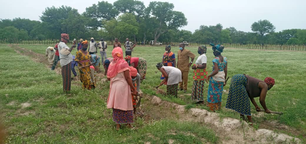 Diopibrahima_'s tweet photo. In spite of the pandemic, it is heartening to see that women's agricultural group in Labe, Koubia et Koundara have started working for the rainy season with the support of WFP and its partners. https://t.co/aWP697fJId