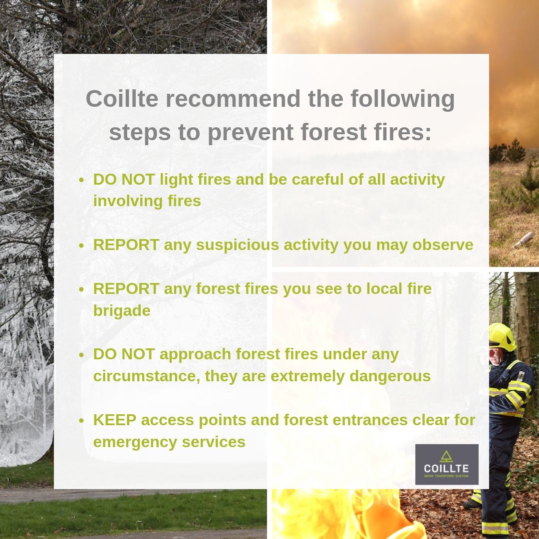 coilltenews's tweet photo. Fires, barbecues and other open ignition sources should be avoided on forest lands &amp; in other wildfire high risk areas. If outdoors please be vigilant, and if you see any wildfires please report them to the emergency services. #BeFireSafetyAware https://t.co/dtQWoNEKNt