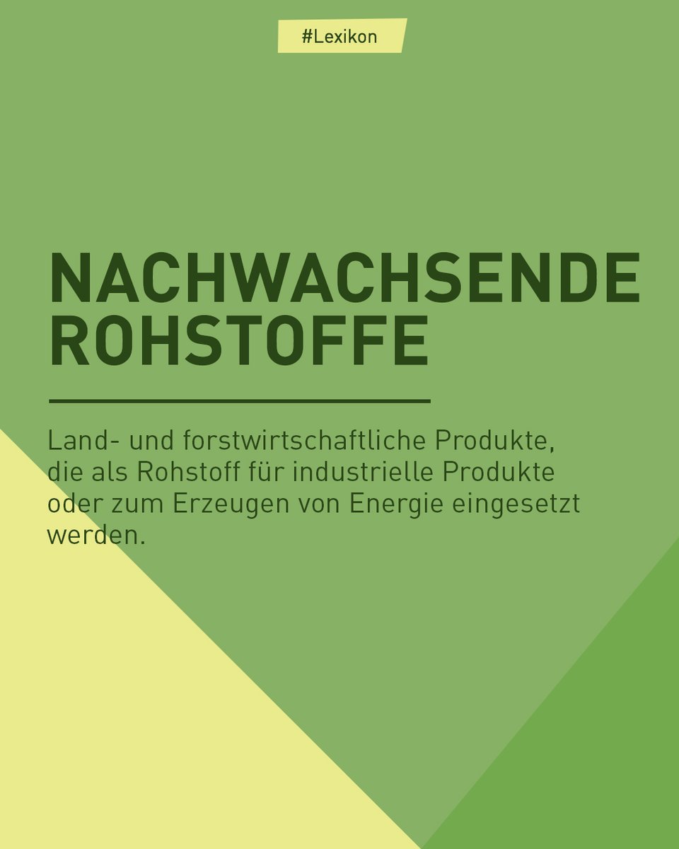 w_jahr's tweet photo. Heute geht's weiter im #Lexikon: Diesmal mit N wie... Nachwachsende Rohstoffe 🌿

Das sind land- und forstwirtschaftliche Produkte, die als Rohstoff für Produkte oder zum Erzeugen von Energie eingesetzt werden.

👉 https://t.co/fHIzGcWuEZ

#DasistBioökonomie #Bioökonomie #Lexikon https://t.co/41wWZF5sqZ
