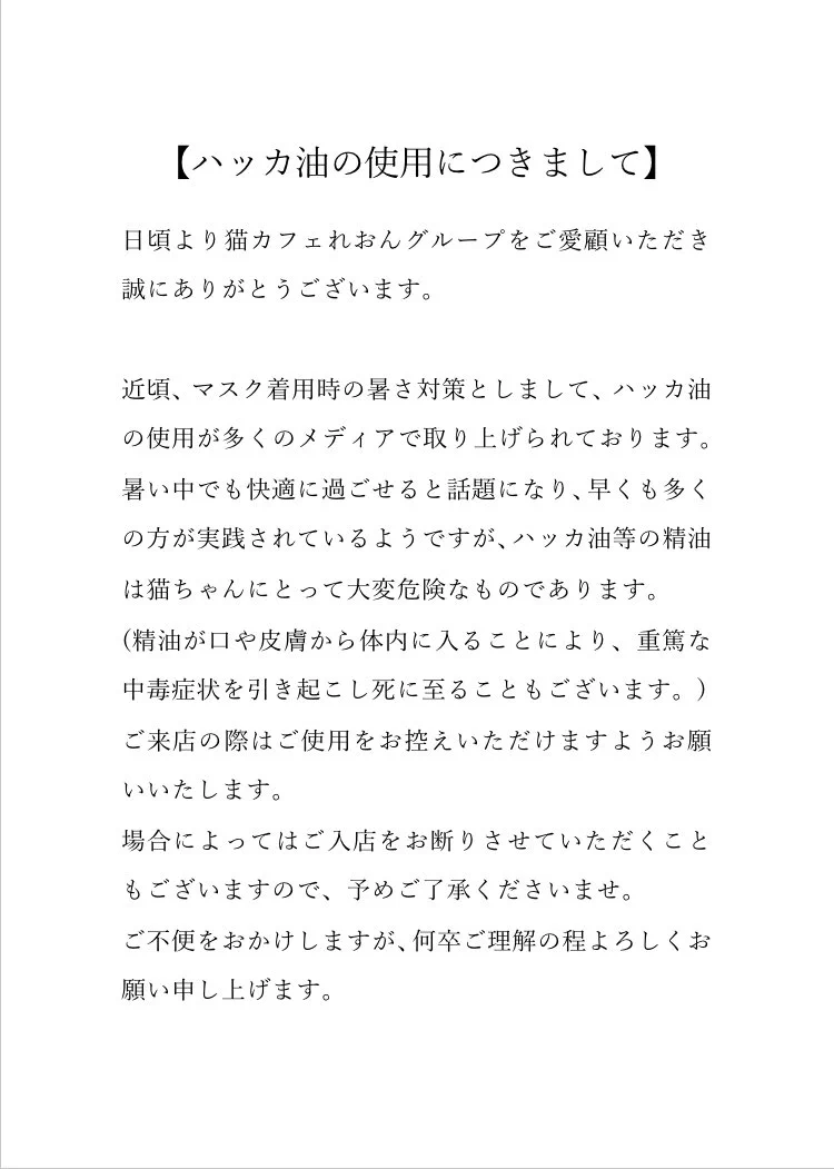 猫カフェや猫が集まる場所に行く時は注意が必要？ハッカ油は猫にとっては危険！