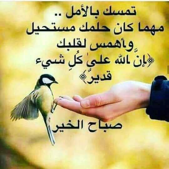 اللهم في هذا الصباح فرح قلبي و قلب من أحب، و اغسل احزاننا و همومنا، و اغفر لنا ذنوبنا إنك على كل شئ قدير
صباح الخير