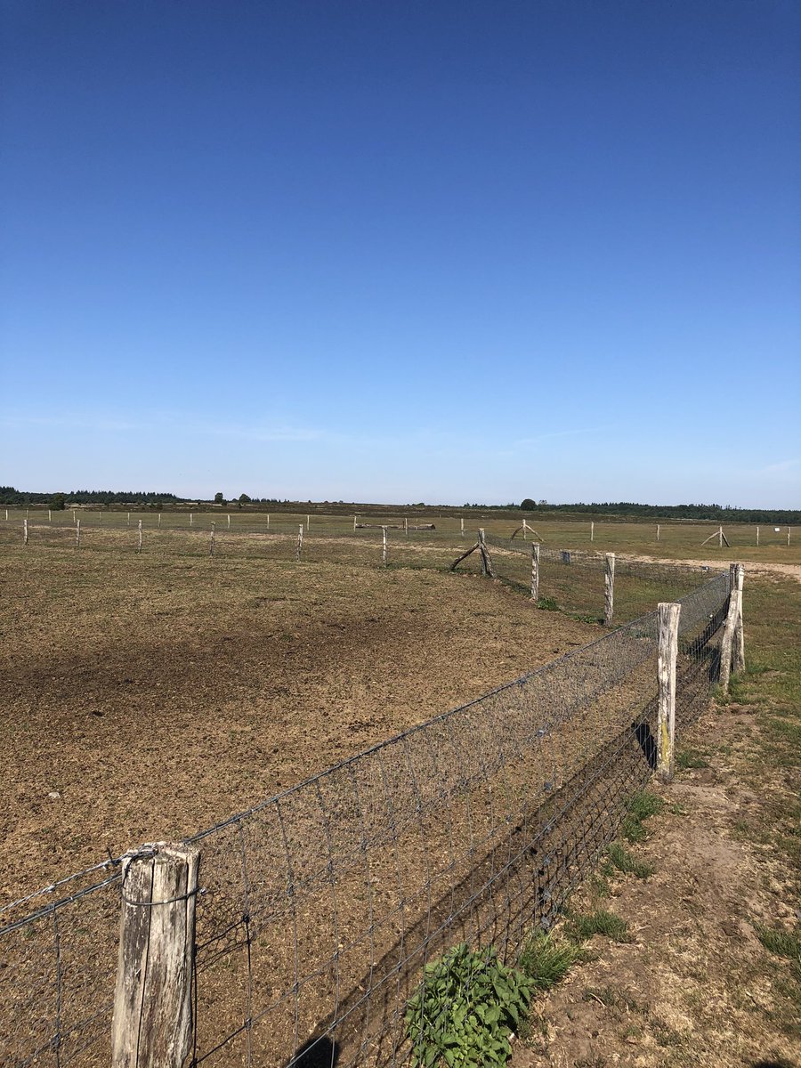 Jan Pieter vd Schans tweet media