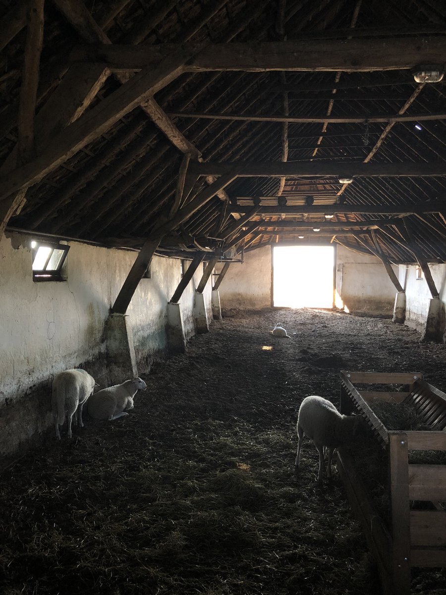 Jan Pieter vd Schans tweet media