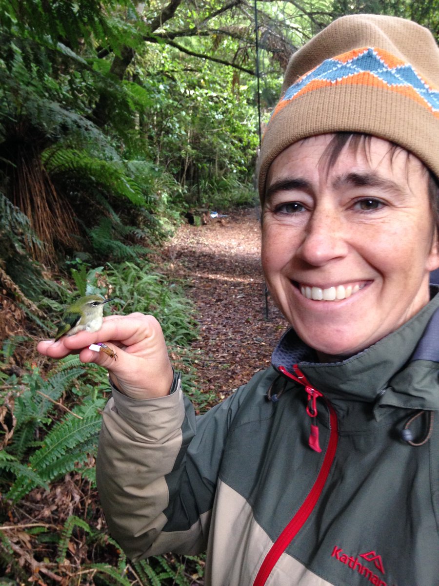 @ke_cain "I grew up in East Texas catching all sorts of critters. I never grew out of that and don& #39;t want to. Studying AB allows me to continue to watch, wonder and learn. I& #39;ve worked all over the USA, Australia and now Aotearoa (New Zealand), and I& #39;m still chasing critters."