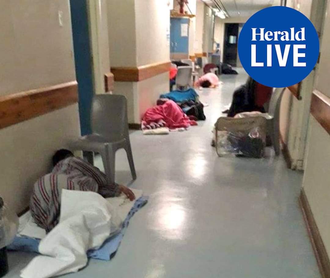 SamPam_Lk's tweet photo. Women waiting to give birth through C-section at Dora Nginza hospital-PE @ECDOH @DrZweliMkhize https://t.co/Q1zXX4dKEH