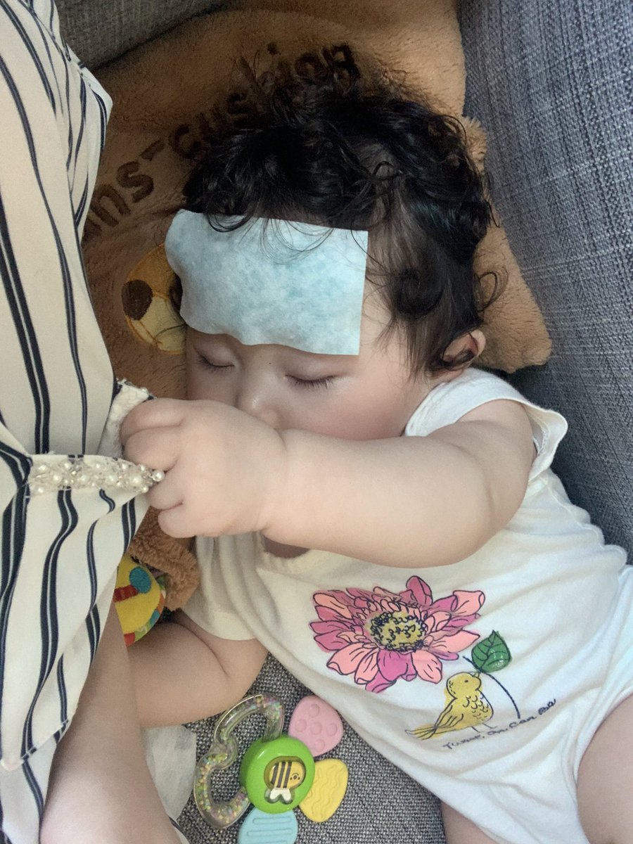 ストゼロちゃん On Twitter ほかの方も脇やそけいぶを冷やすのがだいじとおっしゃっていました やはりそうなんですね 勉強になります