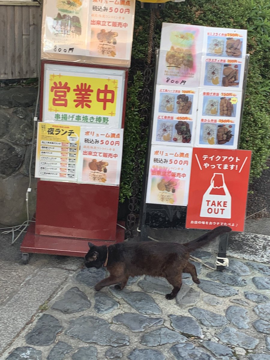 kushibuono's tweet photo. お座敷空いております！
ご来店お待ちしてます https://t.co/G81x5OLQ1G