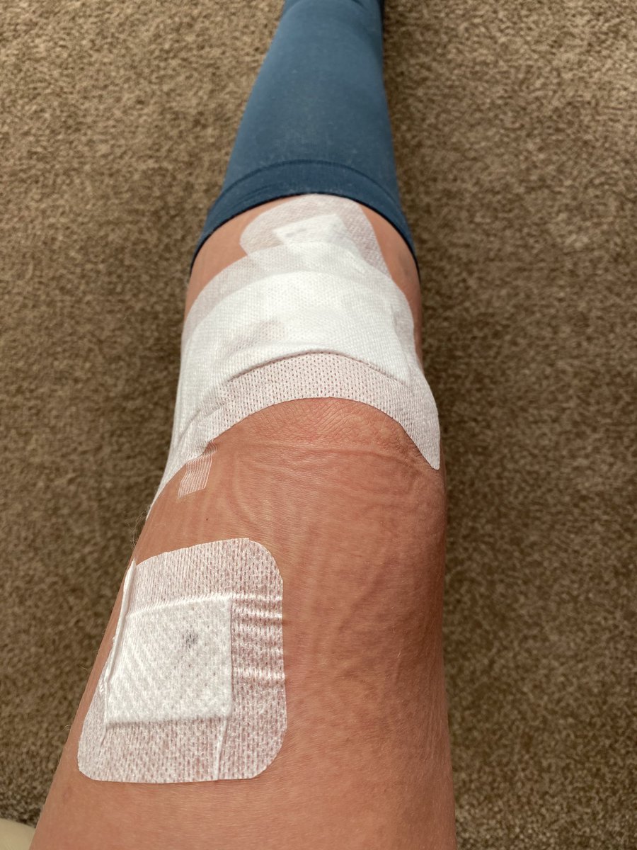 Laura Major tweet media