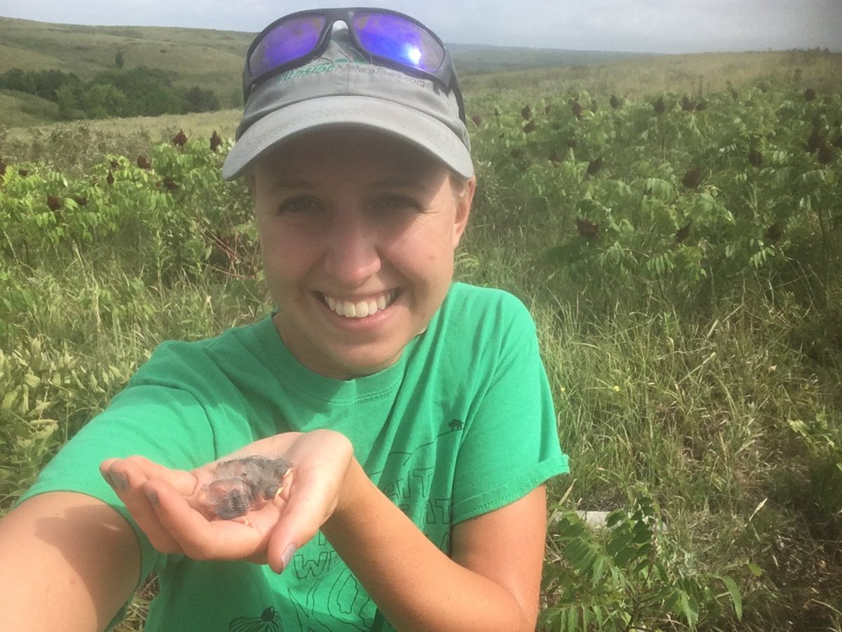  @skwinnicki "For my MS I assessed how environmental variation (especially brood parasitism) impacted the growth of grassland birds with  @birdfiddler at  @kstatebio. Stay tuned for the awesome results of project  #PrairieBabies! "