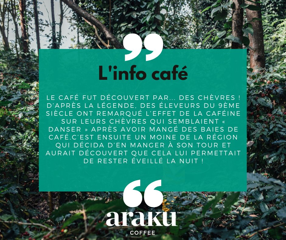 arakucoffee tweet media