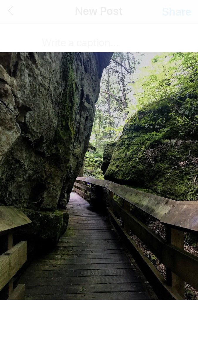 KateOnorato's tweet photo. #FlashbackFridayz are all about those #rocks and #stones - check out these #wv wonders! #senecarocks #coopersrock #beartown #lindypoint #almostheaven #onlyinwv #placeibelongwv https://t.co/Rcms7jNmvE