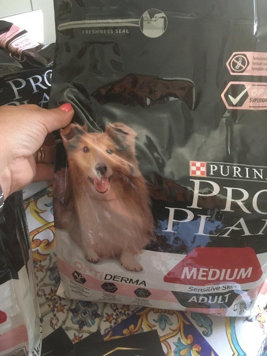 doppielle's tweet photo. #prodottoinviatoda #Purina #ProPlan #Optiderma #InsiderStories 

Diventare Ambassadors  di Purina ProPlan è davvero il Top!! La mia Titti sarà felice🐕 e sarò felice di farlo provare ai vostri pelosetti  con campioni omaggio e buoni sconto da 5,00 euro. https://t.co/PNcNbQfRWq