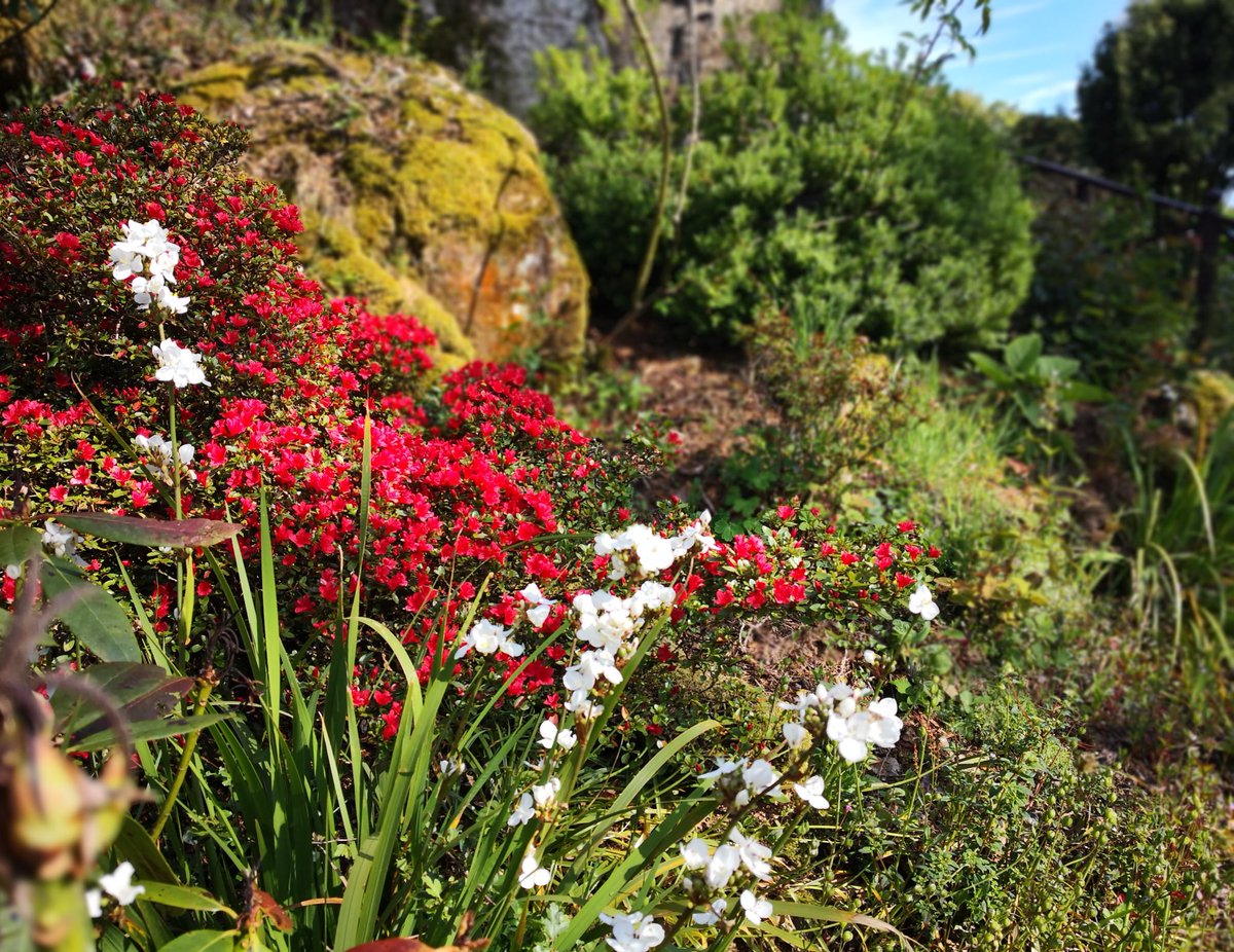 🙋Good morning 🌦 Here’s hoping the weather cooperates for the weekend. These beautiful views await your next visit🌈🌼🌱