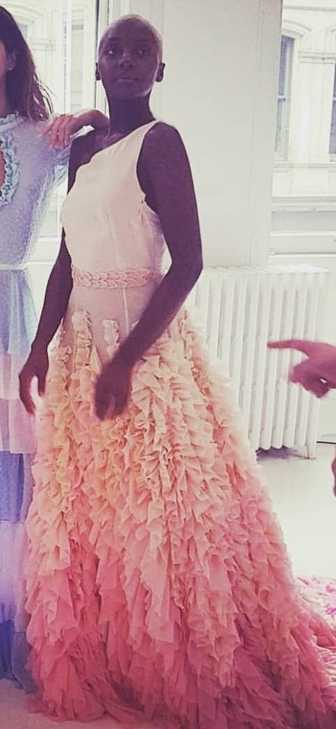 MeganCanningsDesigns tweet media