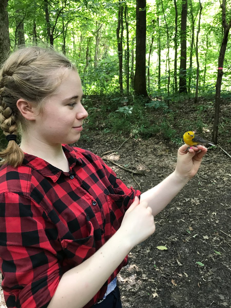  @stenysaurus "I worked as a field tech for the lab the last two years. I get to see baby birds grow up and it is the most amazing thing. Working in the field and seeing how these birds interact with each other really solidified my interest in studying animal behavior."