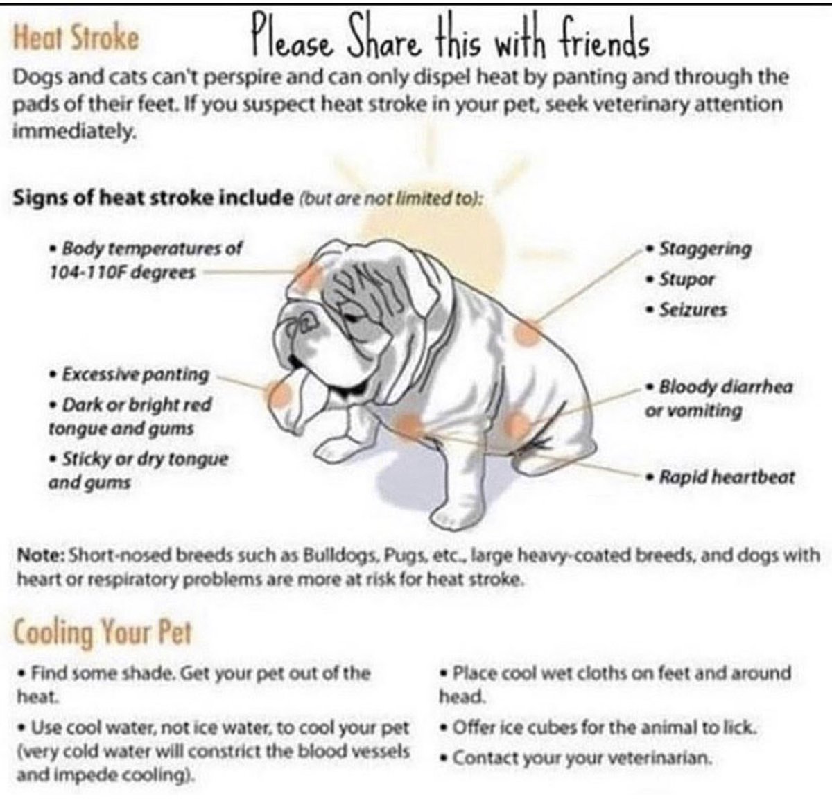 BullyCheeto's tweet image. Please take extra care of us in this heat! Please RT!